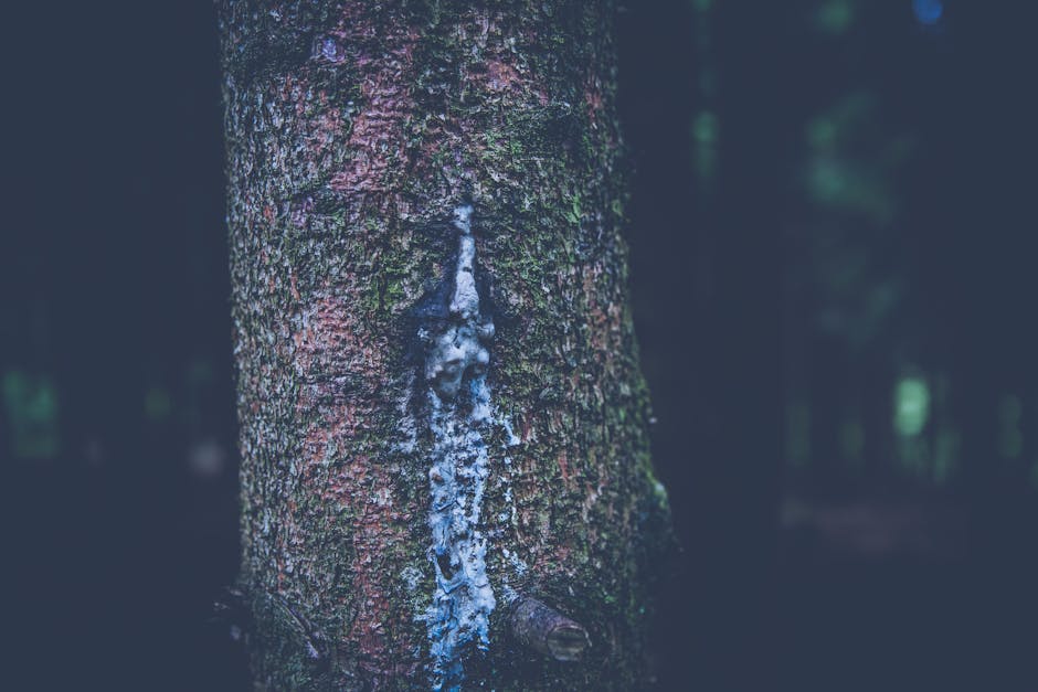 pexels-photo-117846