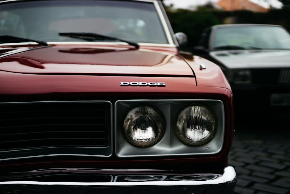 pexels-photo-2343508-z-dziennikarzem-na-ty-personalizacja-kampanii-prowych-1