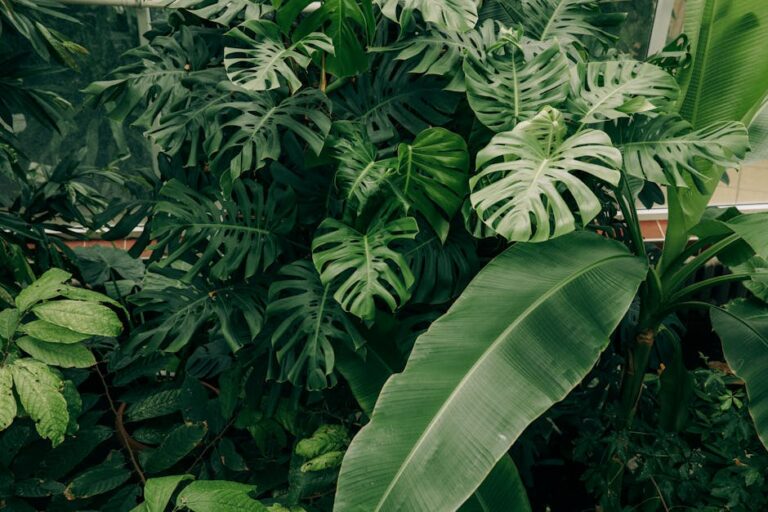 pexels-photo-4596640-migracja-do-sap-s-4hana-jak-przygotowac-firme-do-transformacji-cyfrowej-i-wykorzystac-pelen-potencjal-danych-start-up